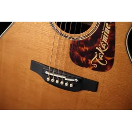 Takamine CP7MO-TT