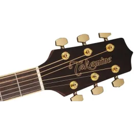 Takamine GD51CE-BSB