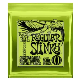 Ernie Ball 2221