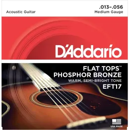 Daddario EFT17