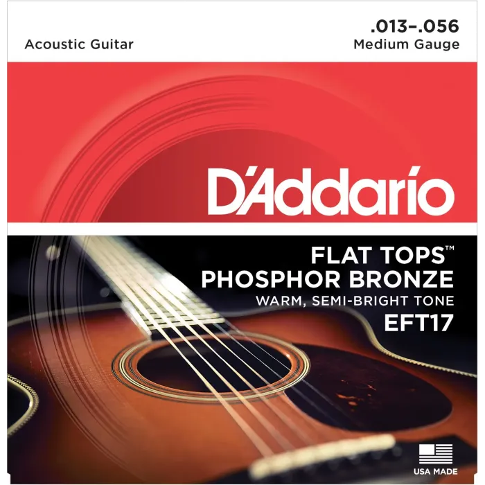 Daddario EFT17