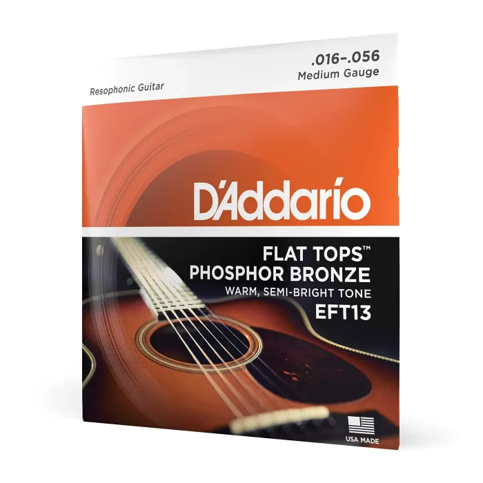 Daddario EFT13