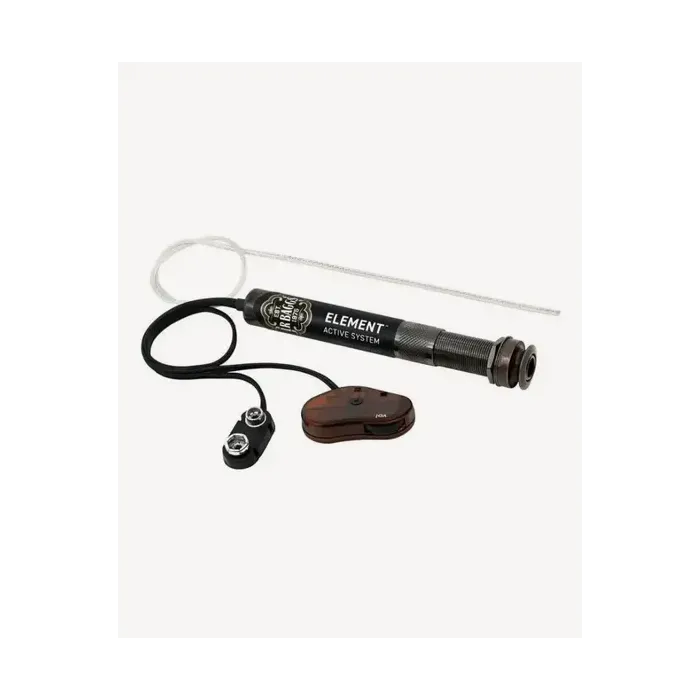 L.R. Baggs Element Active
